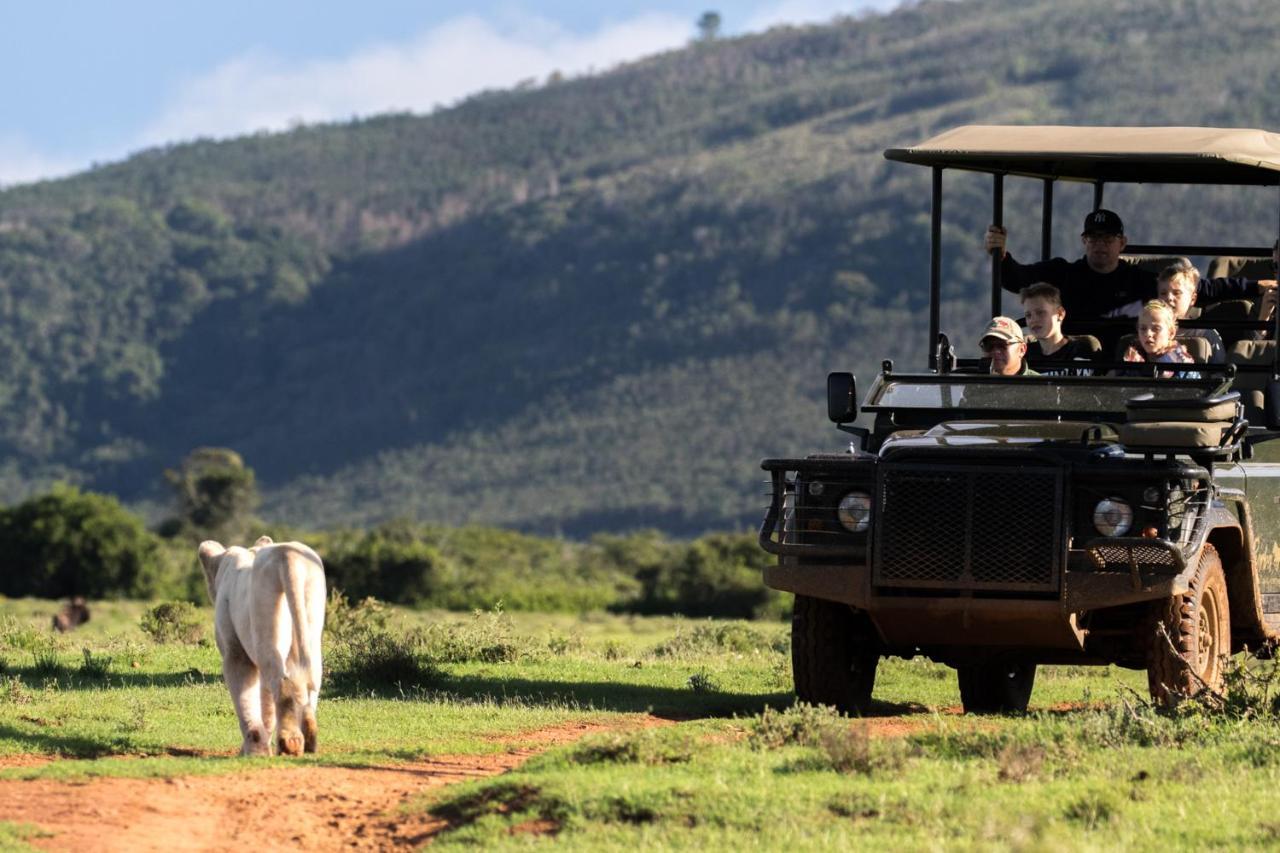 Pumba Private Game Reserve Grahamstown Zewnętrze zdjęcie