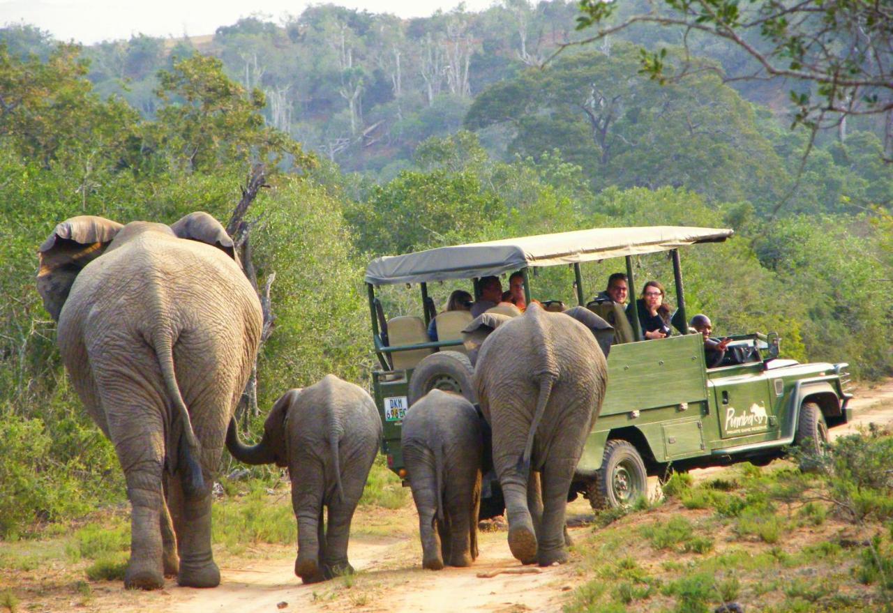 Pumba Private Game Reserve Grahamstown Zewnętrze zdjęcie