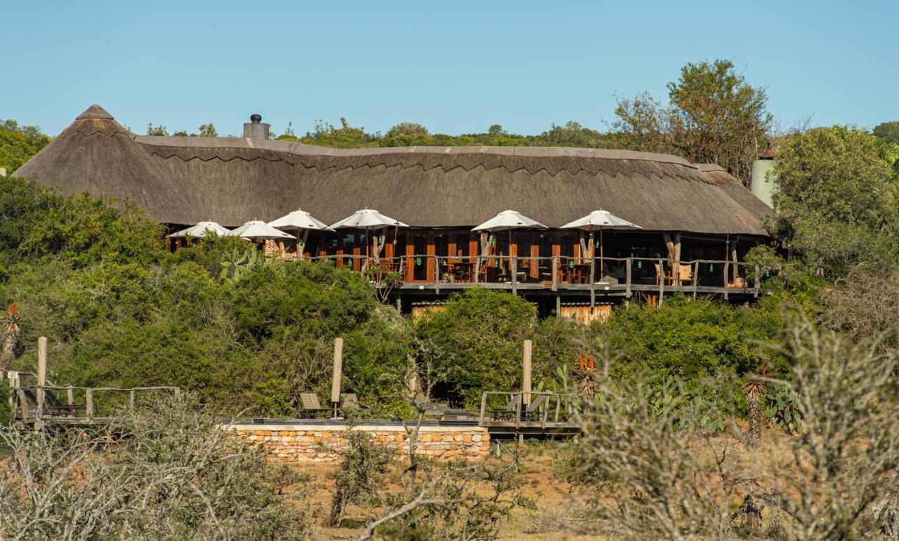 Pumba Private Game Reserve Grahamstown Zewnętrze zdjęcie