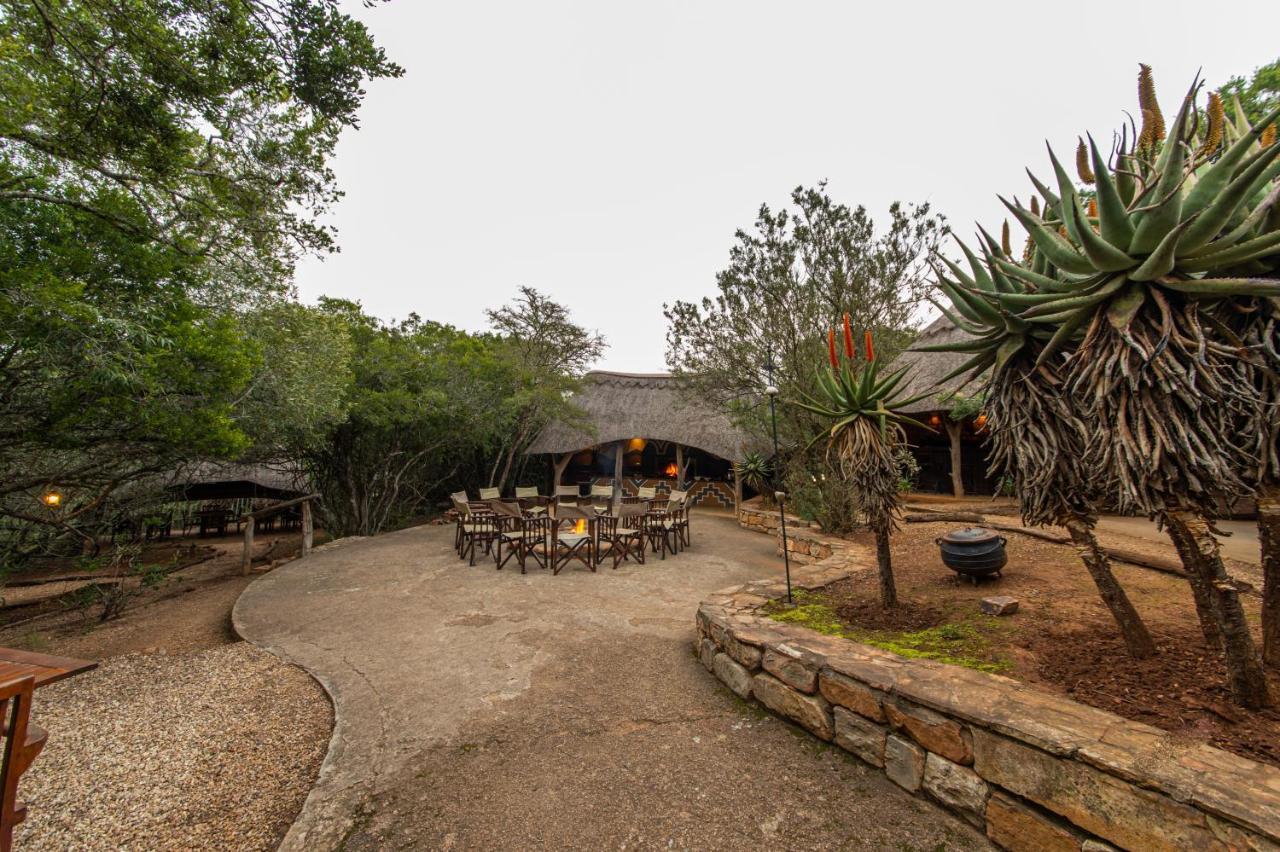 Pumba Private Game Reserve Grahamstown Zewnętrze zdjęcie