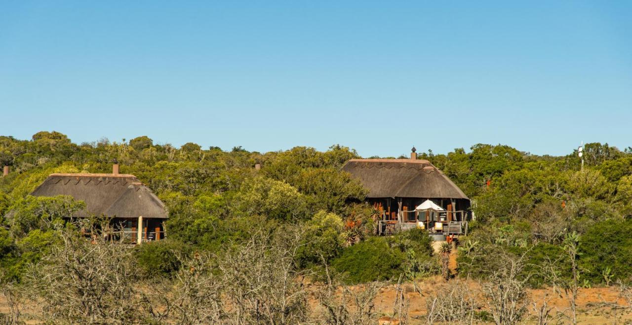 Pumba Private Game Reserve Grahamstown Zewnętrze zdjęcie