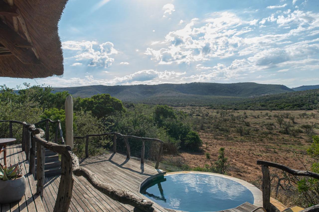Pumba Private Game Reserve Grahamstown Zewnętrze zdjęcie